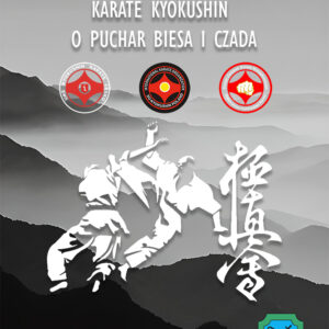 Kyokushin karate lesko plakat